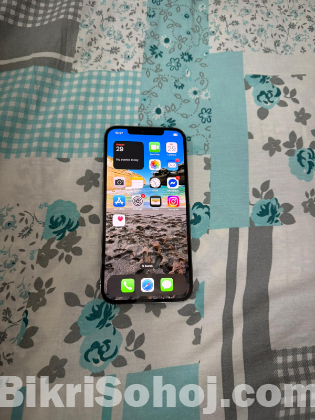 Apple iPhone 12 Pro Max (Used)